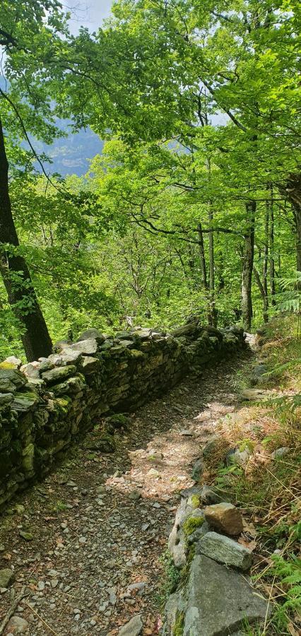 Rustico Pult Villa Someo Kültér fotó